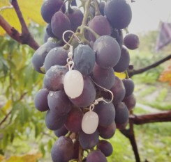 Серьги из розового кварца Розовые сны