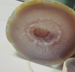 Срез серо-голубого агата с хрусталем